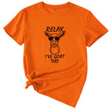 Sable Large T-Shirt Femme RELAX I'VE GOAT Manches Courtes